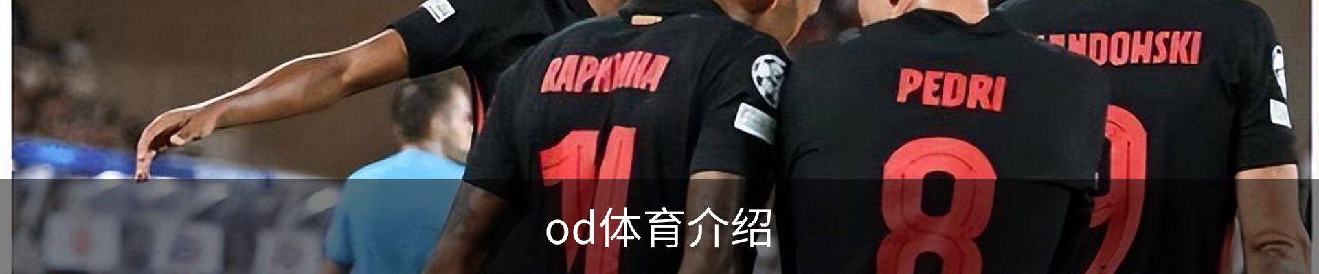 od体育介绍